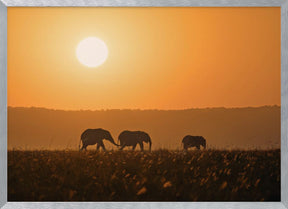 Sunset Walk Poster