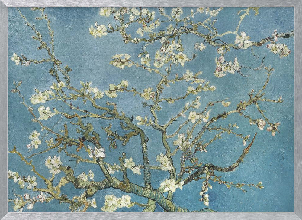 Vincent Van Gogh's Almond Blossom (1890) Poster