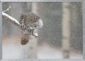 Huntting in The Snow Poster