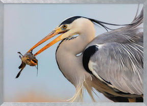 Catching Poster