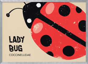 Lady Bug Poster