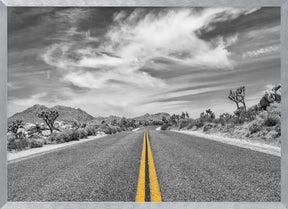 Park Boulevard, Joshua Tree National Park Poster