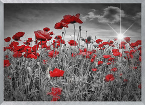 Idyllic Field of Poppies with Sun Poster