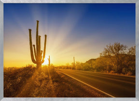 SAGUARO NATIONAL PARK Setting Sun Poster