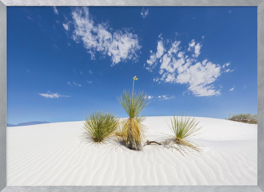 White Sands Impression Poster