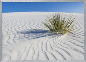 WHITE SANDS Idyllic scenery Poster