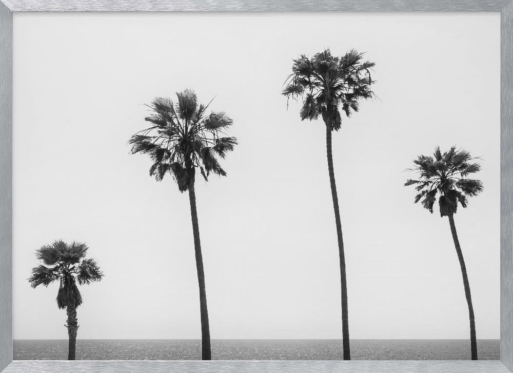 Palm trees by the sea | monochrome Poster