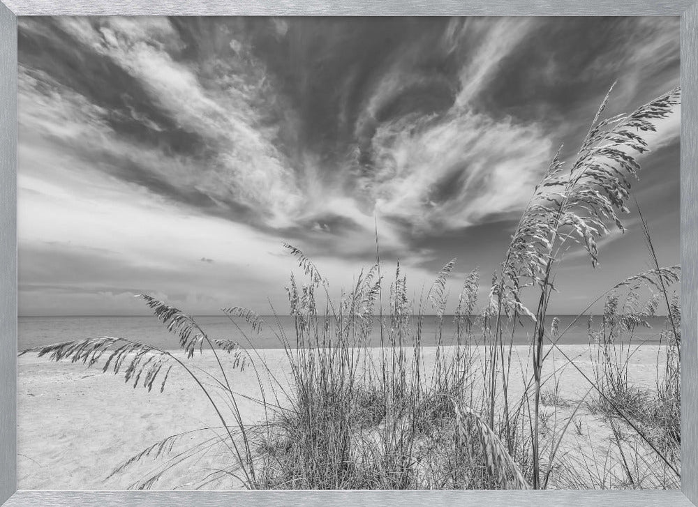 Heavenly calmness on the beach - monochrome Poster