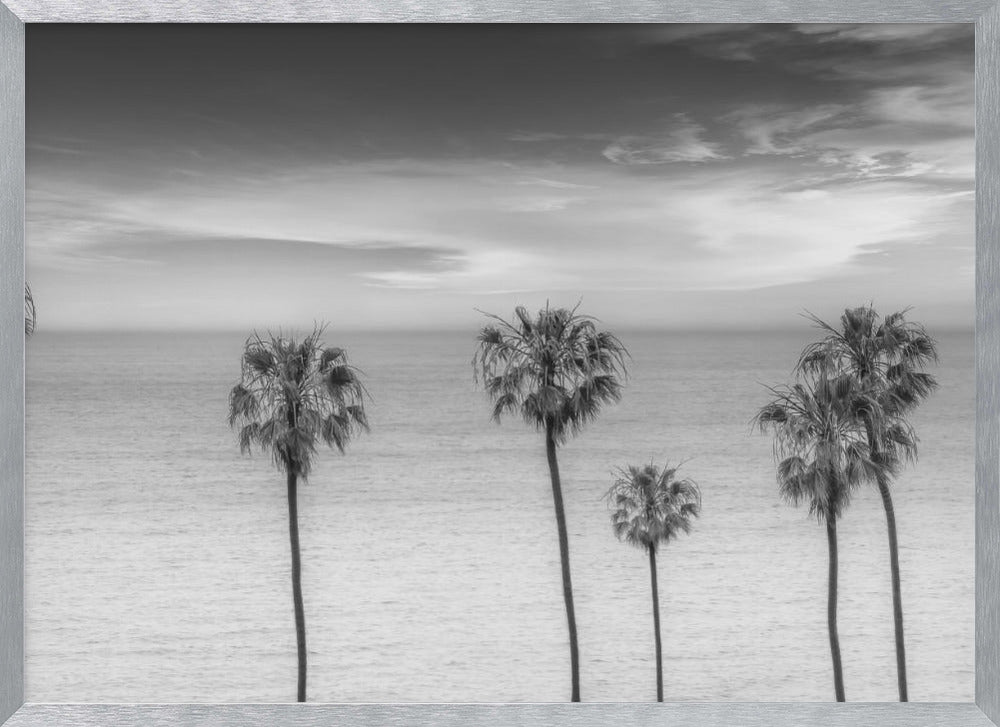 Lovely Palm Trees at the Ocean | monochrome Poster