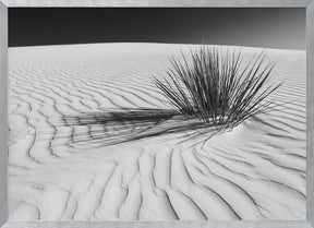 WHITE SANDS Idyllic scenery | Monochrome Poster