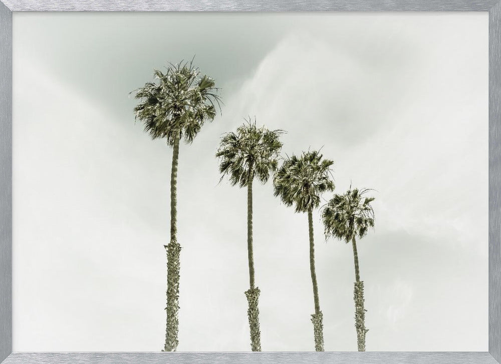 California Palm Trees Poster