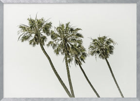 Palm trees by the sea | Vintage Poster