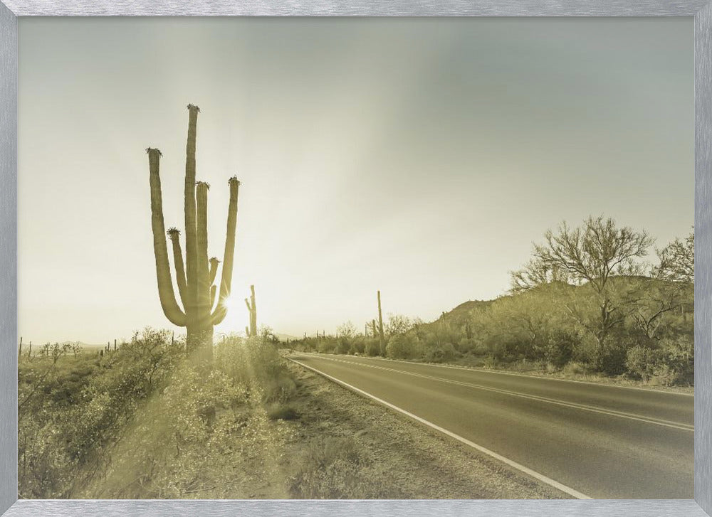 SAGUARO NATIONAL PARK Setting Sun | Vintage Poster