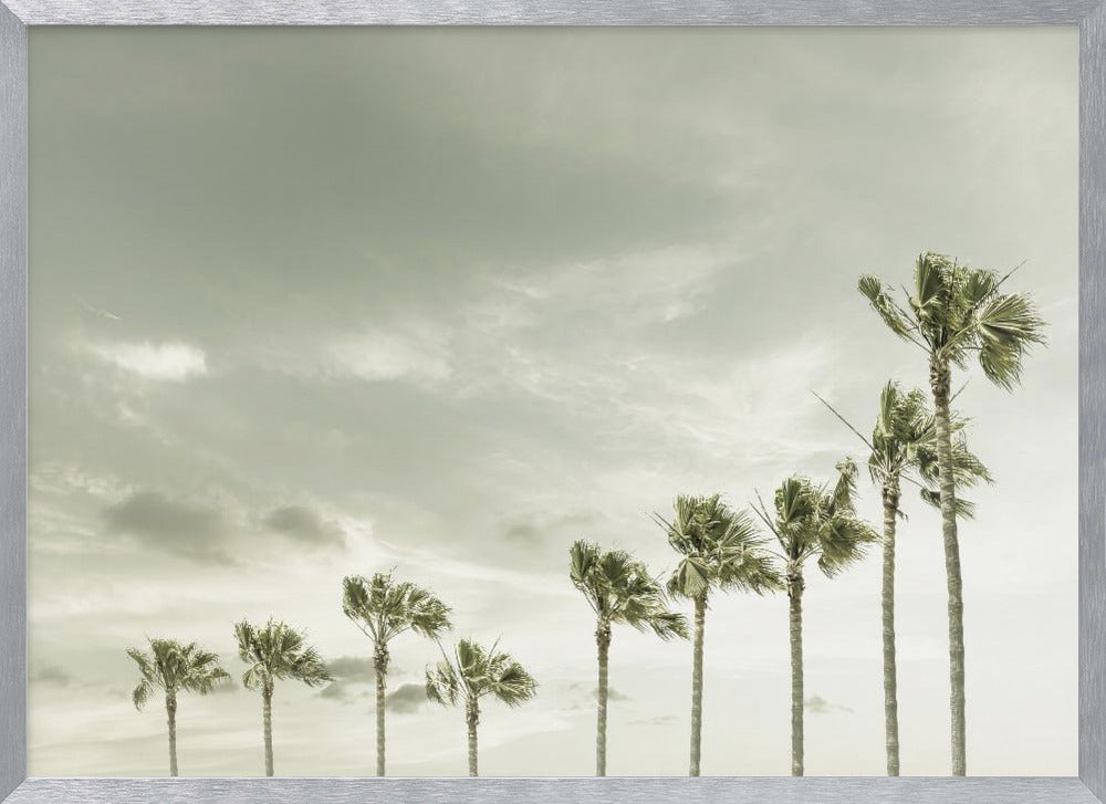 Vintage Palm Trees at the beach Poster