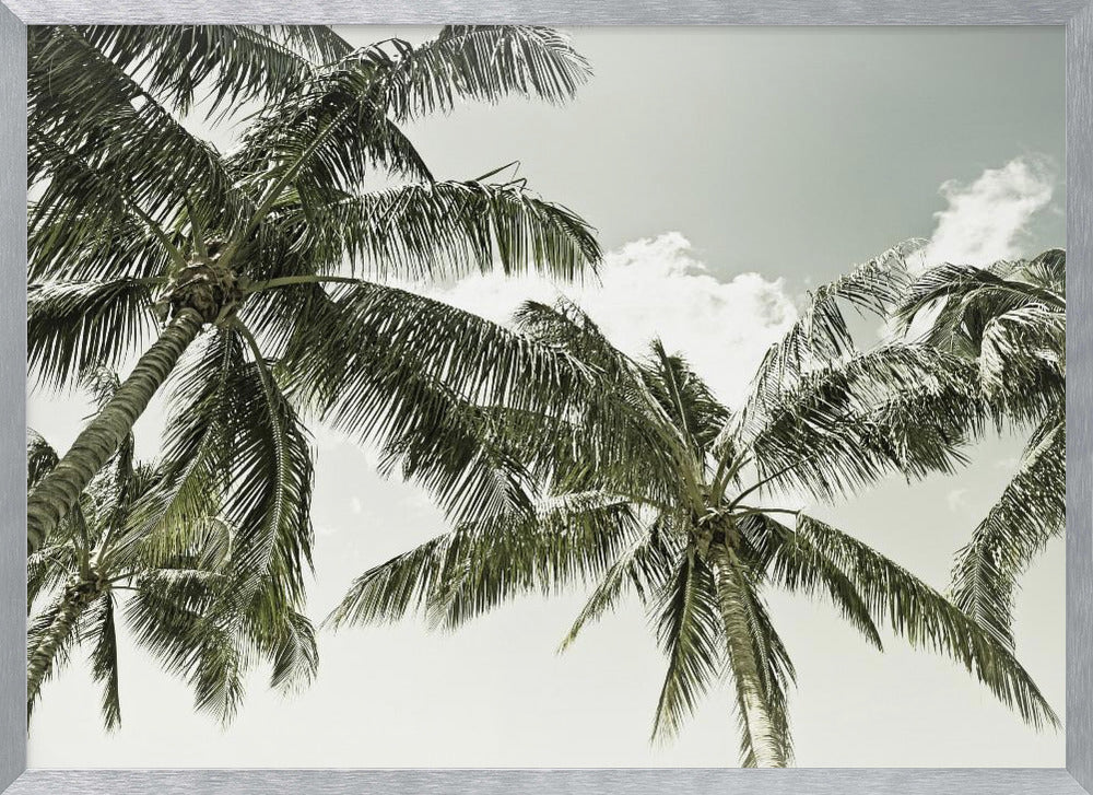Vintage Palm Trees Poster