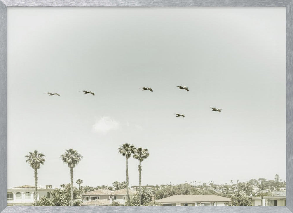 Above the rooftops of San Diego Poster