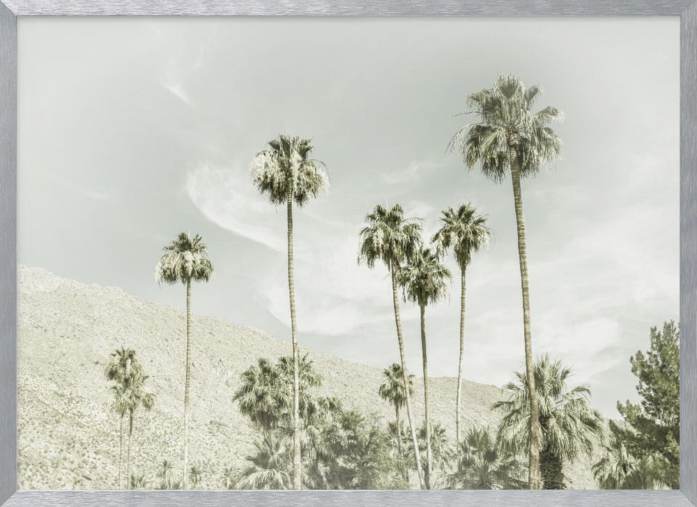 Palm Trees in the desert | Vintage Poster