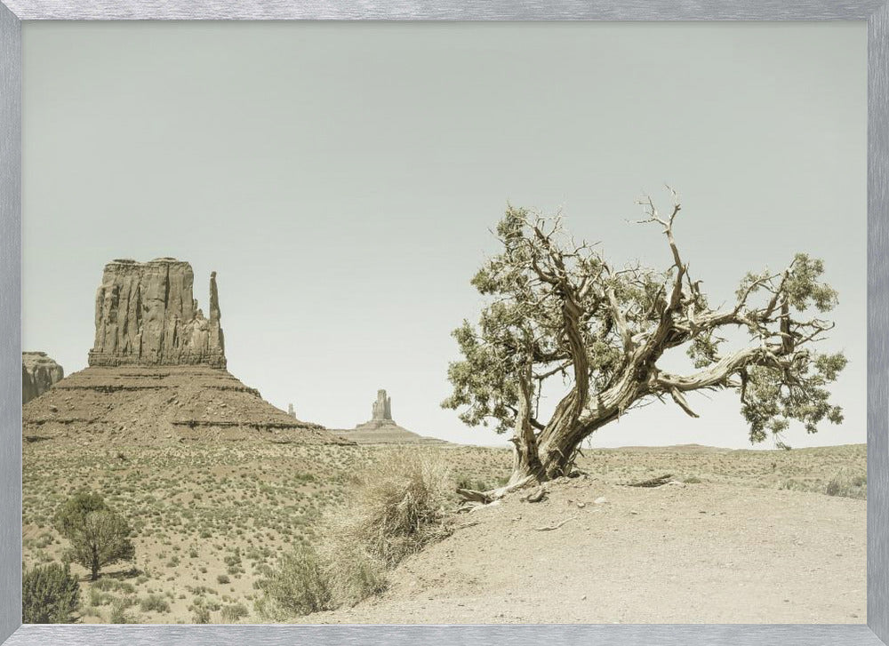 MONUMENT VALLEY Vintage West Mitten Butte and Tree Poster