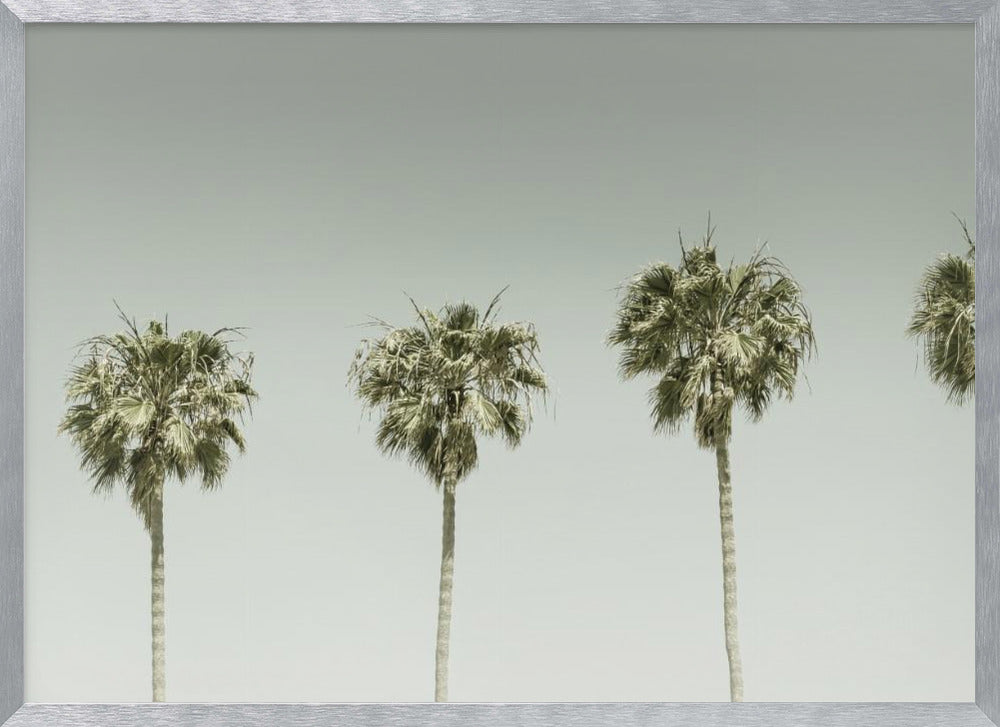 Panoramic Vintage Palm Trees Poster