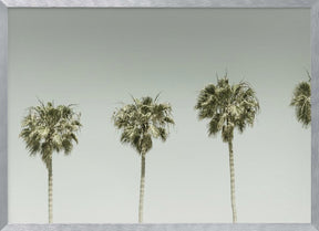 Panoramic Vintage Palm Trees Poster