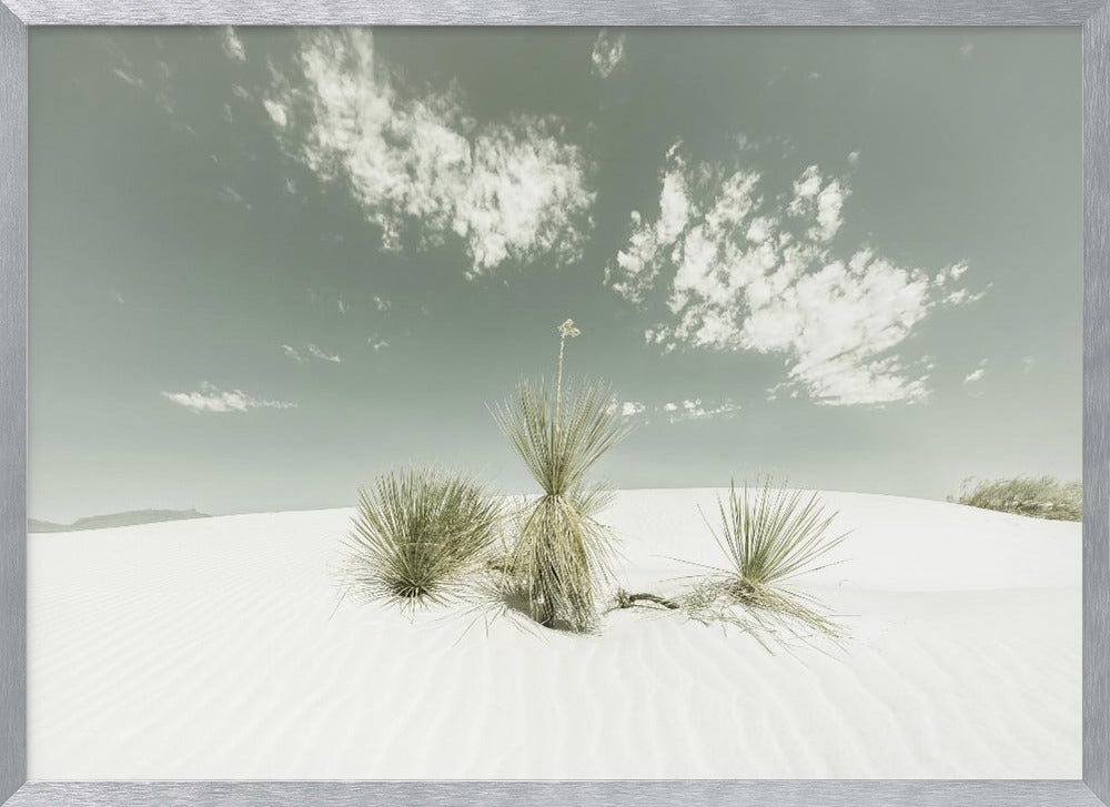 WHITE SANDS Vintage Poster