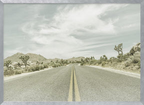 Vintage Joshua Trees, Park Boulevard Poster