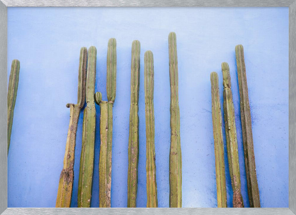 Tall Cacti on Blue | Oaxaca Mexico Travel Poster