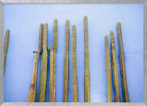 Tall Cacti on Blue | Oaxaca Mexico Travel Poster