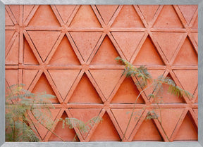 Coral details of Oaxacan Architecture in Mexico Poster