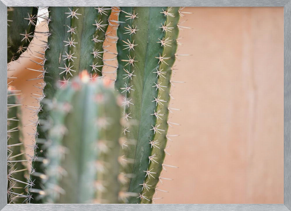 Botanical Pastel Marrakech Poster