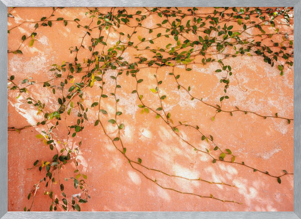 Botanical San Miguel de Allende | Mexico travel photography Poster