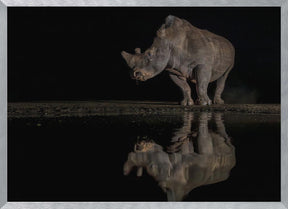 Rhino at the Night Poster