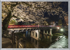 Picturesque Nakabashi Bridge in the evening Poster