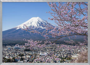 Picturesque view of Mount Fuji during cherry blossom season Poster