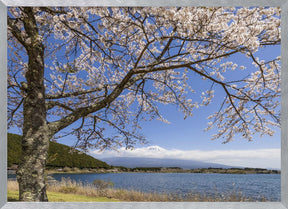 Picturesque Lake Tanuki with Mount Fuji Poster