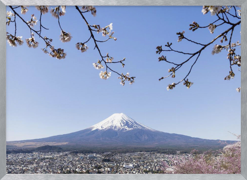 Fantastic panoramic view of Mount Fuji with cherry blossoms Poster