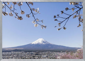 Fantastic panoramic view of Mount Fuji with cherry blossoms Poster