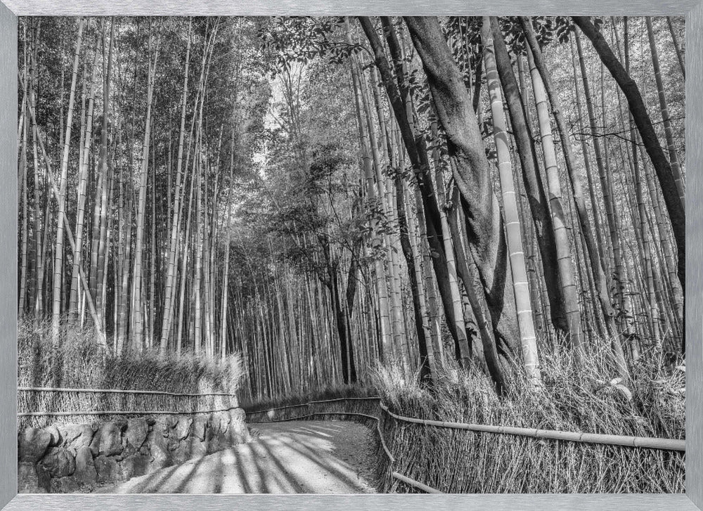 Impressive Arashiyama Bamboo Forest - monochrome Poster