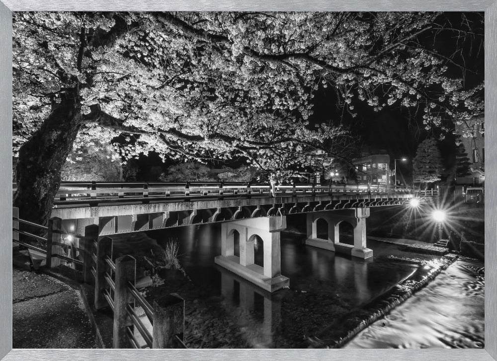 Picturesque Nakabashi Bridge in the evening - monochrome Poster