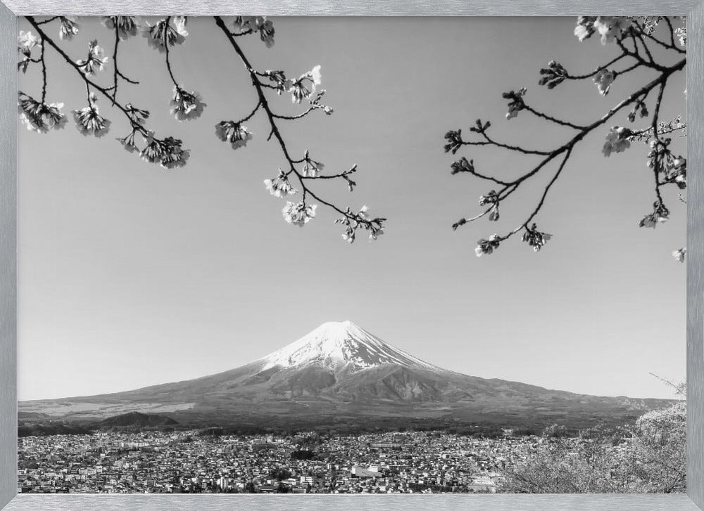 Fantastic panoramic view of Mount Fuji with cherry blossoms - monochrome Poster