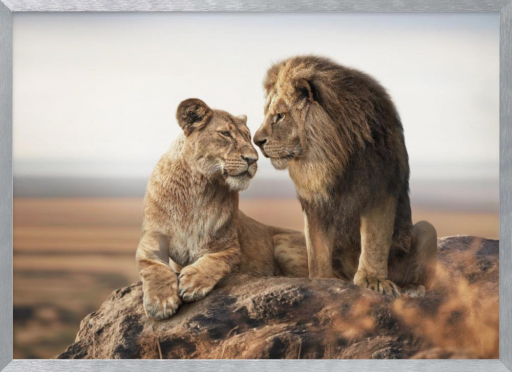 LionLove Poster