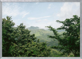 Greens of Monteverde Costa Rica Poster