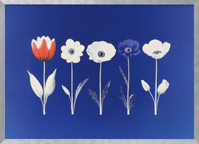 Five Flowers Poster