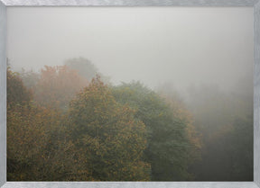 Foggy Autumn Forest Poster