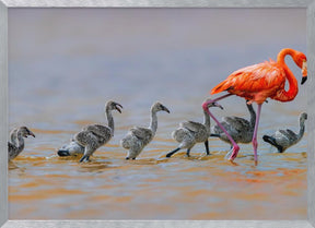 Flamingo Babysitter Poster