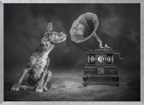 MusicDog-BW Poster