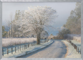 A Frosty Morning Poster