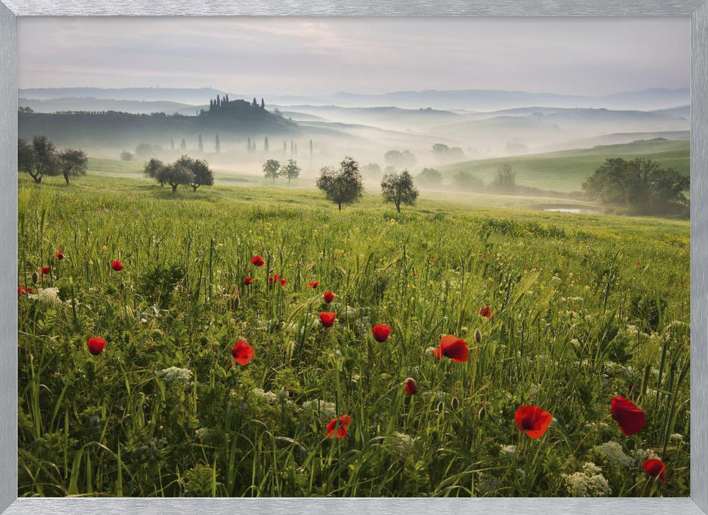 Tuscan spring Poster