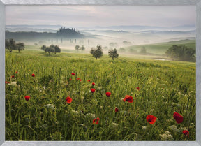 Tuscan spring Poster