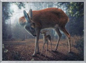 Mother and Fawn Poster